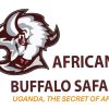 African Buffalo Safa...