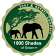1000 Shades of Green